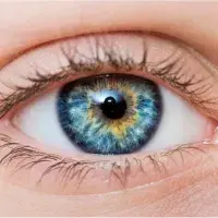 Ogen / Eyes