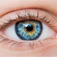 Ogen / Eyes